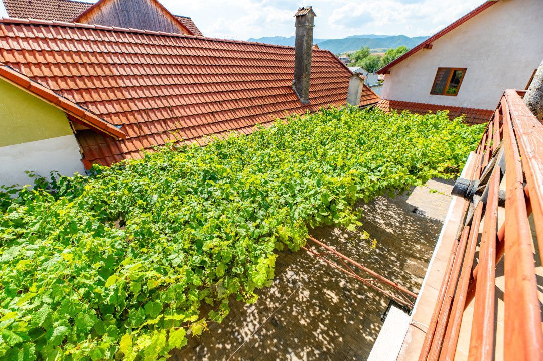 Casa + Pensiune deosebita - Orlat, Sibiu - Poză 38