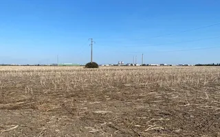 Teren agricol în Zona Sagului - Poză 11