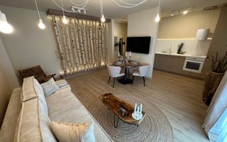 Apartament deosebit  2 camere zona Lipovei - Poză 1