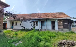 Casa la tara, gaz, acces auto, teren 4122 mp – Petid, Bihor – VANZARE - Poză 12