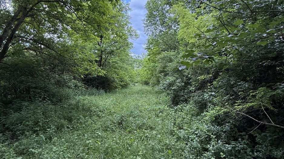 Teren plat-intravilan -3800 mp, cu pădurice și ieșire la râu! - Poză 17