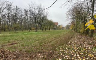 Teren cu deschidere la lac I Snagov - Poză 15