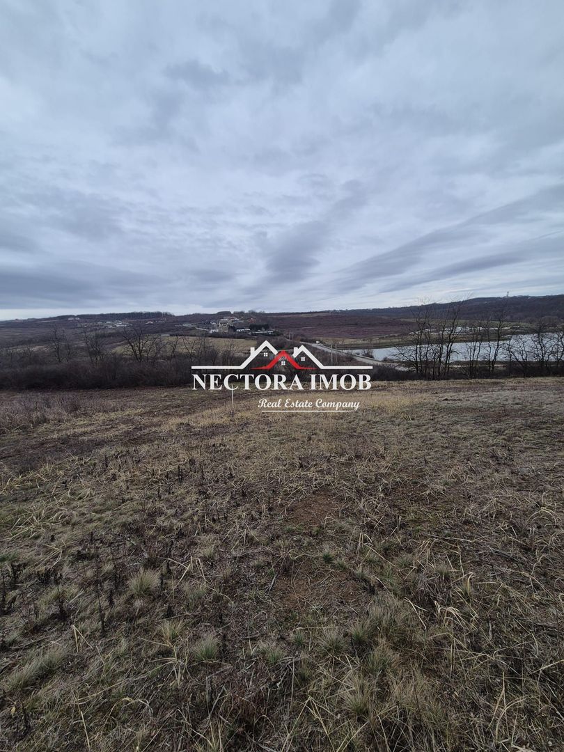 NECTORA IMOB-Teren Intravilan Zona Paleu, 589 mp, Vedere LAC,Utilitati - Poză 1
