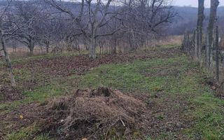 teren + casa batraneasca satul Hilita com Costuleni intravilan - Poză 7