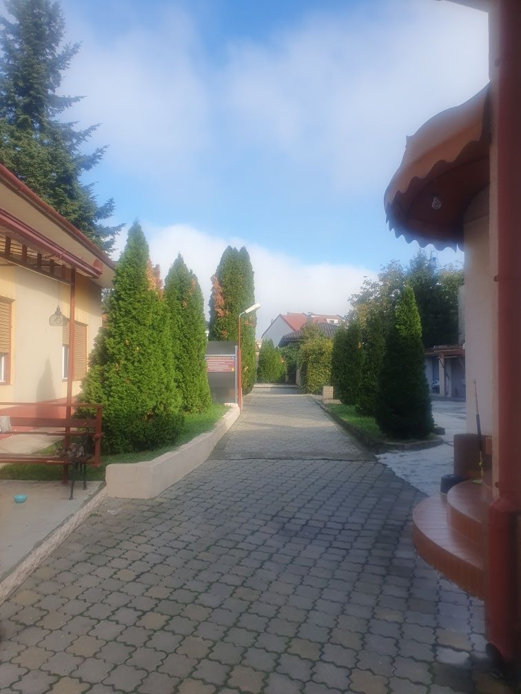 Vând 2 case cu aceasi intrare, Locația Satu Mare - Poză 2