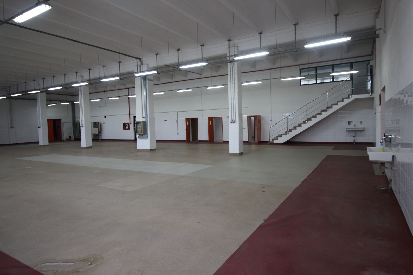 Hala productie    - Calea Torontalului de vanzare - Poză 9