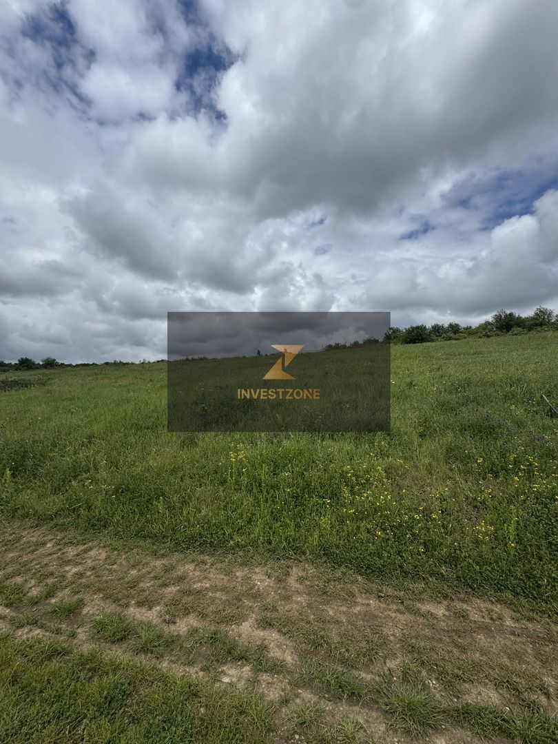 Teren intravilan Dealul Lavandei din Beldiceanu spre Săldăbagiu - Poză 2