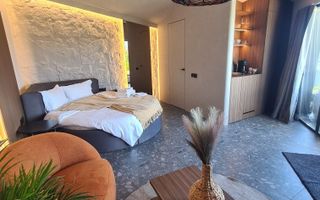 Oportunitate de investiție – Complex turistic premium Amumi Tiny Houses, Lacul Bicaz - Poză 7