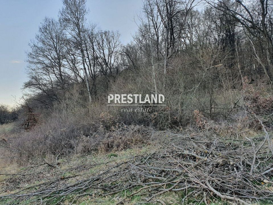 Teren 46.300 mp-zona Gușterița!! - Poză 8