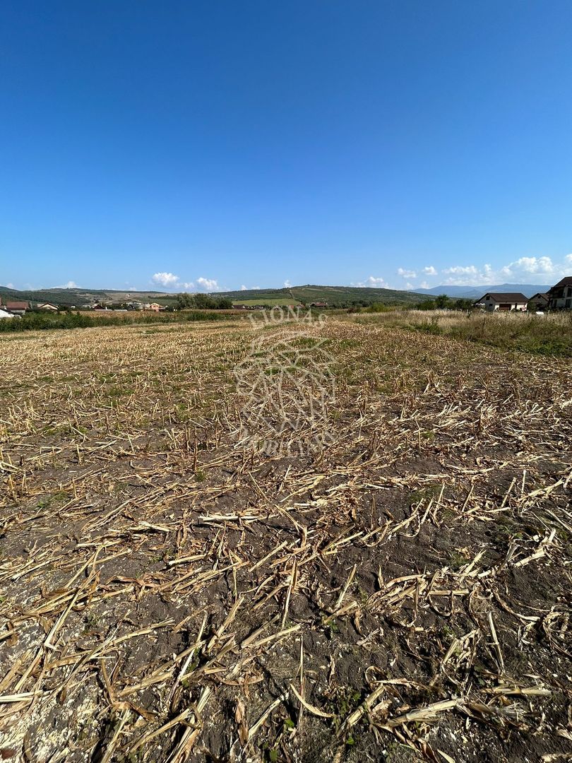 Teren 1000 mp-panoramic-zona in plina dezvoltare- Jelna - Poză 2