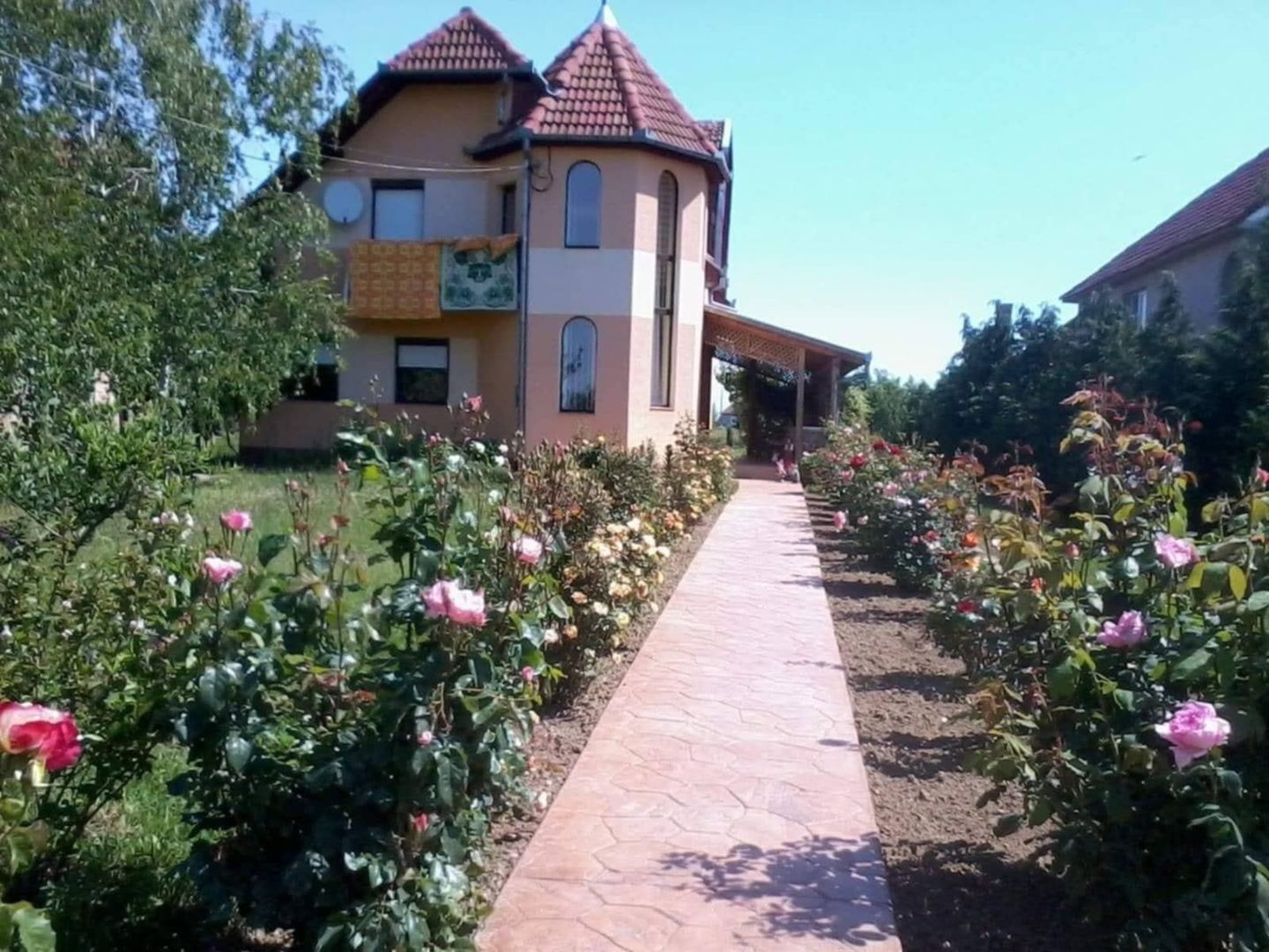 Casă 2 familii / firmă + livadă Satu Mare - Cionchești - Poză 1