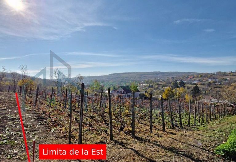 Teren intravilan 1308 mp Rediu | 9 min Copou / Pacurari - Poză 3