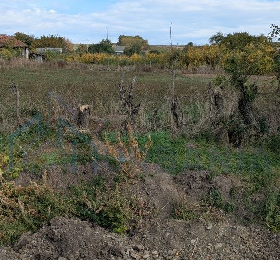 Teren intravilan 1100 mp, sat Avântu, comuna Romanești, județul Iași - Poză 5