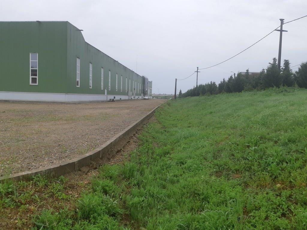 Hala de productie + birouri in Oradea - Poză 20