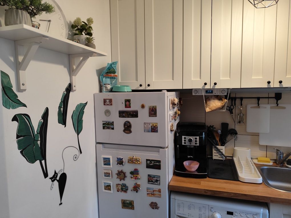 De vanzare garsonieră in Titan,Liviu Rebreanu - Poză 5