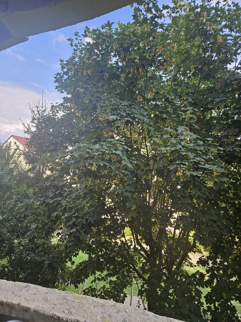 Parcul Trandafirilor, garsoniera in bloc de apartamente, loc parcare - Poză 10