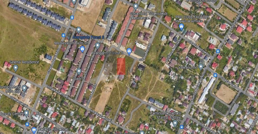 Teren Intravilan Matei Milo - Poză 3