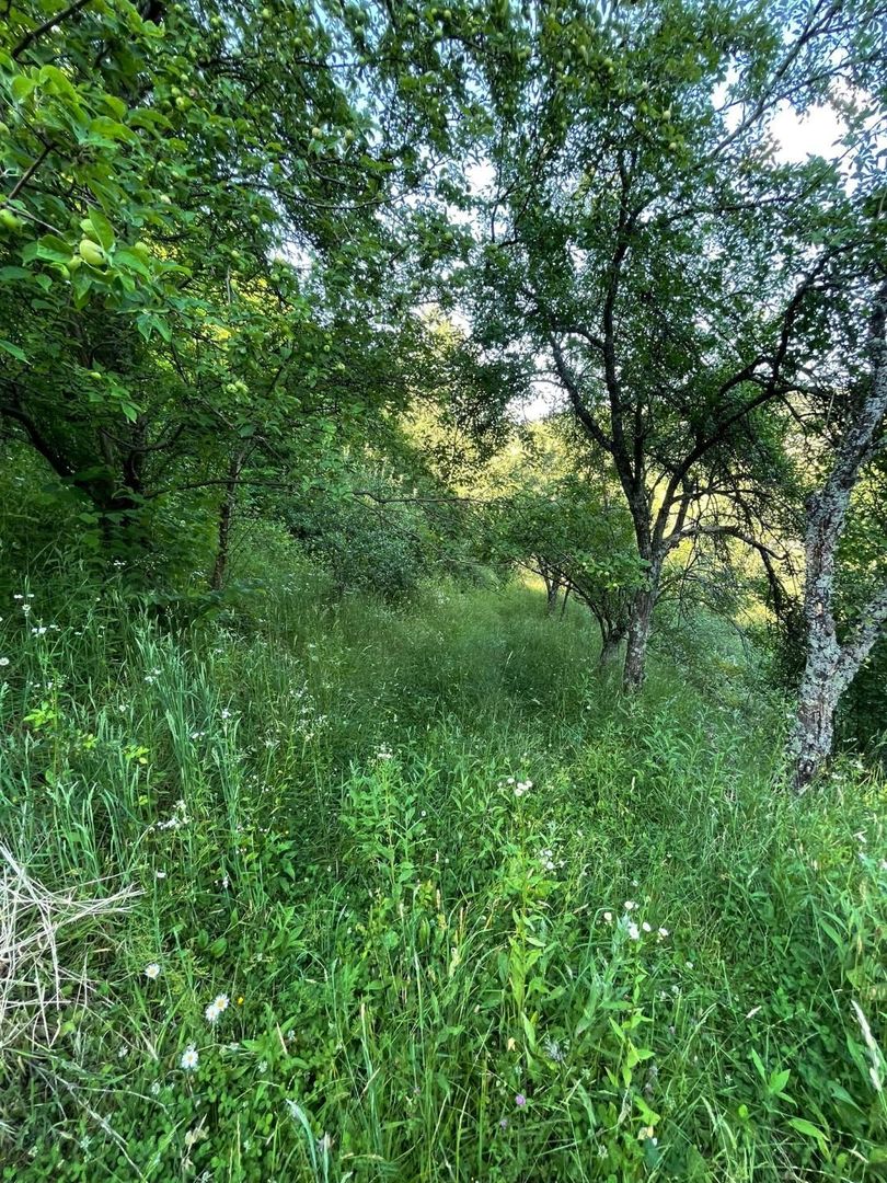 Teren zona turistica Rosia - Poză 7