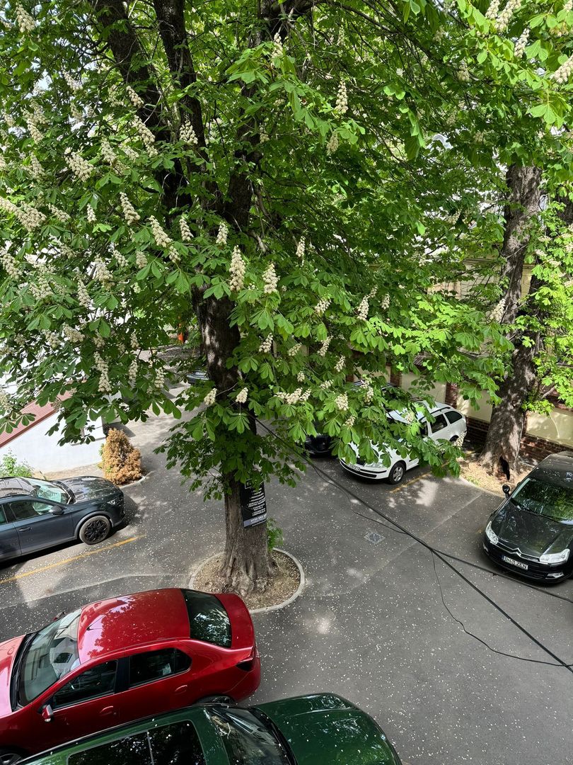 Apartament 2 camere ultracentral - Poză 14