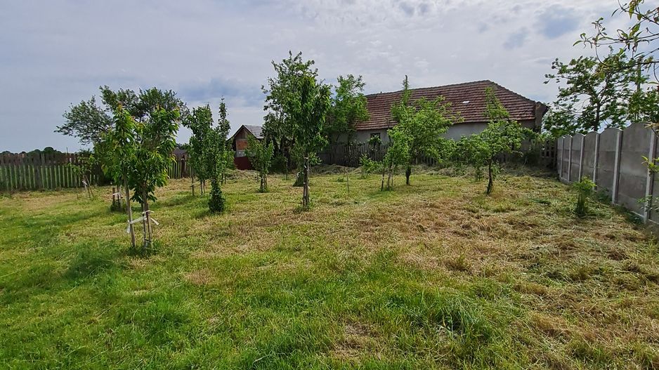 Casa nemțească cu teren generos - Poză 15