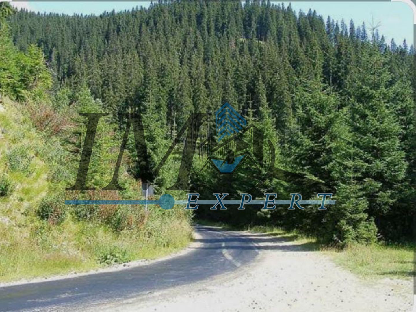 Teren de vânzarepadure  in Cugir 10.644mp - Poză 1