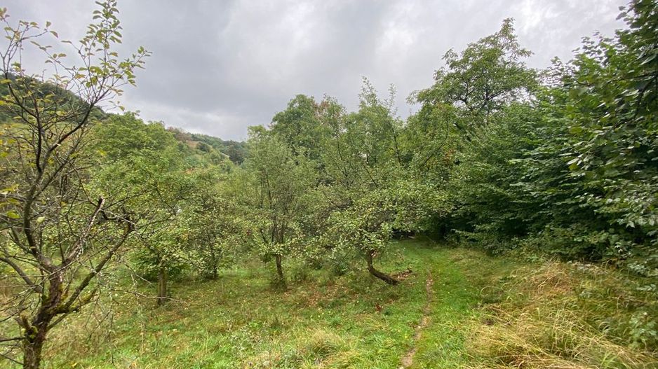 OPORTUNITATE TEREN DEZVOLTARE REȘEDINȚĂ IMOBILIARA DE LUX - Poză 7