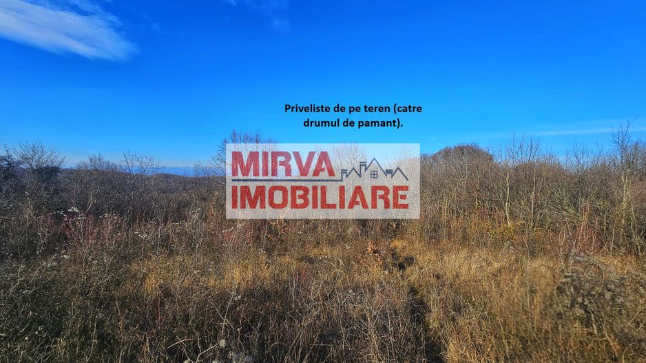 Teren intravilan 1.000 mp – Seciu, 2 deschideri, Priveliște panoramica - Poză 9