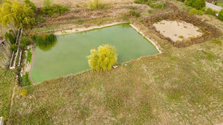 Casă cu teren 13 418 mp intravilan - Poză 16