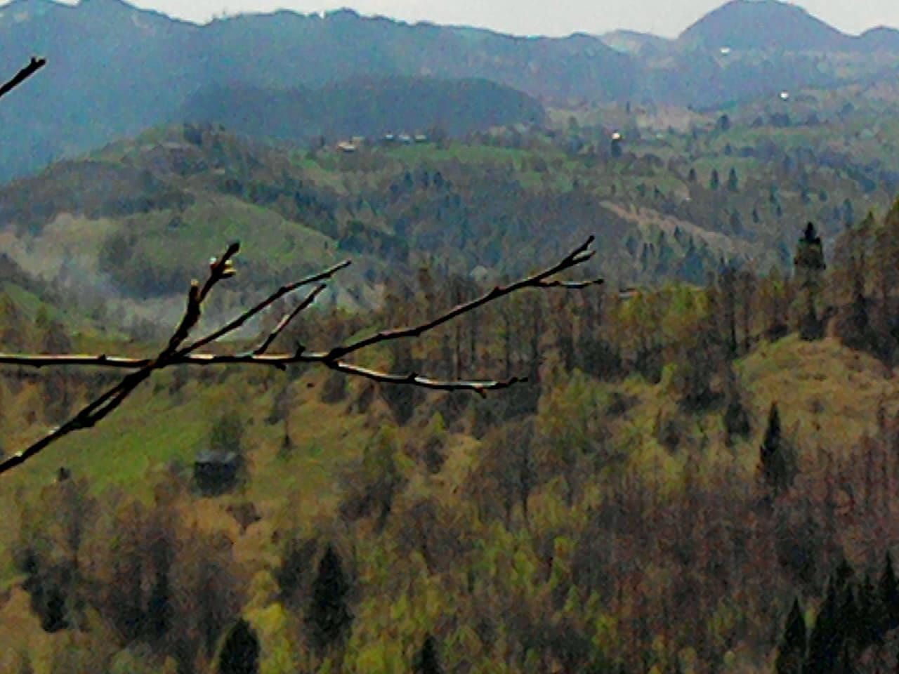 teren intravilan in zona Magura Bran - Poză 20
