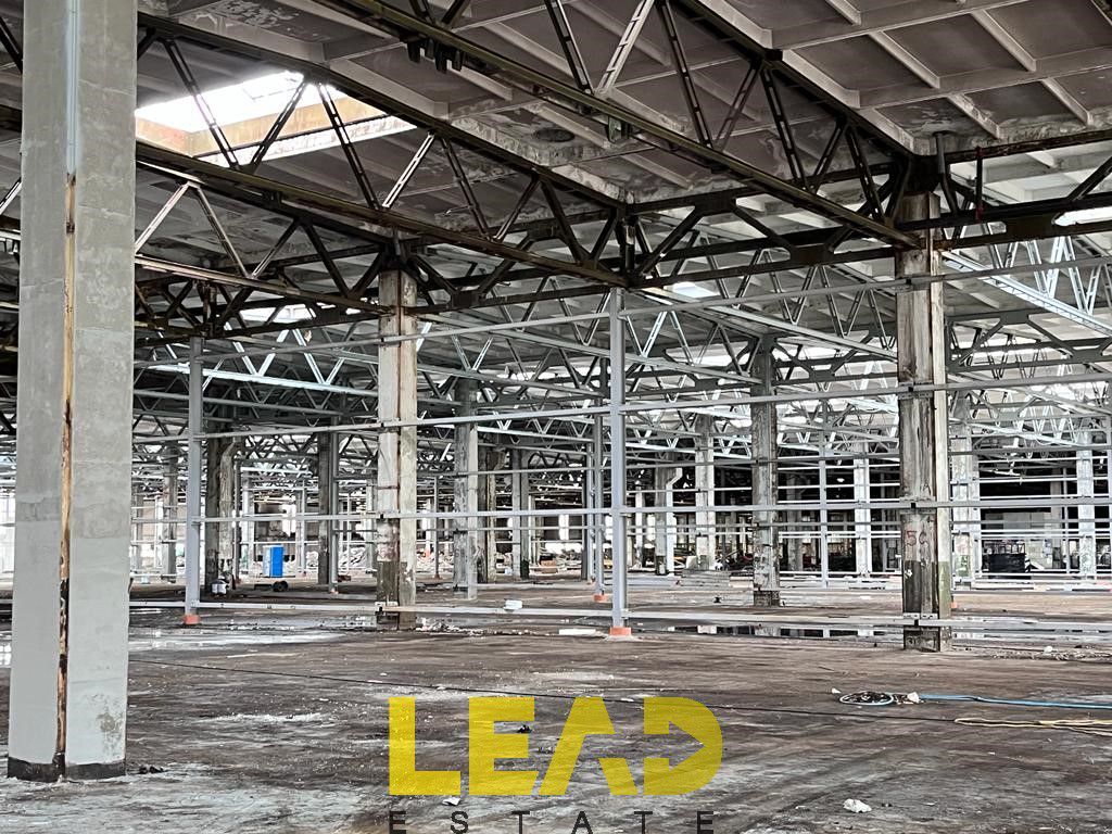 De inchiriat! Hale si birouri in Platforma Roman Brasov - Poză 12