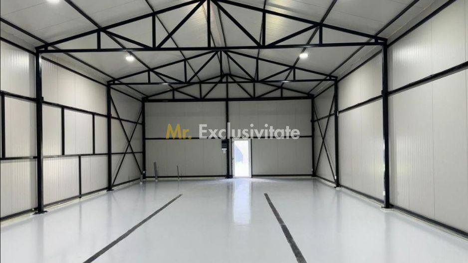 De vanzare proprietate Podari – 2 hale industriale + casa și spatiu recreativ - Poză 5
