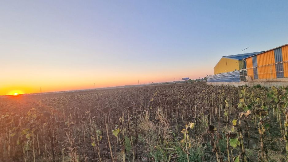 Teren extravilan lângă I&M Polux, pe drumul spre Limanu - Poză 1