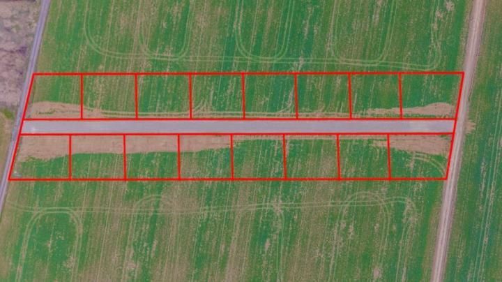 Oportunitate- Padurea Snagov-  9944 mp. - Poză 1