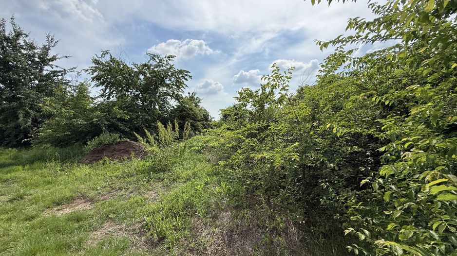Teren intravilan 498,02 mp langa pădure , strada privata Corbeanca - Poză 14