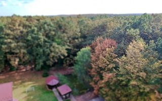 Ocazie!! Vanzare teren - padure, toate utilitatile, Balotesti - Poză 10