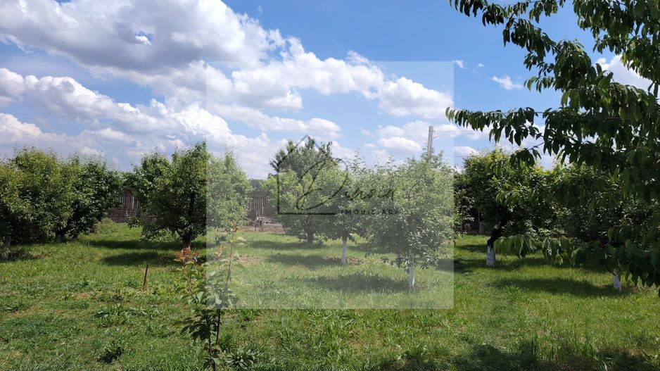 Casa Ciocanesti Cretu - 2 camere cu teren 2539 mp  - Jud. Dambovita - Poză 33