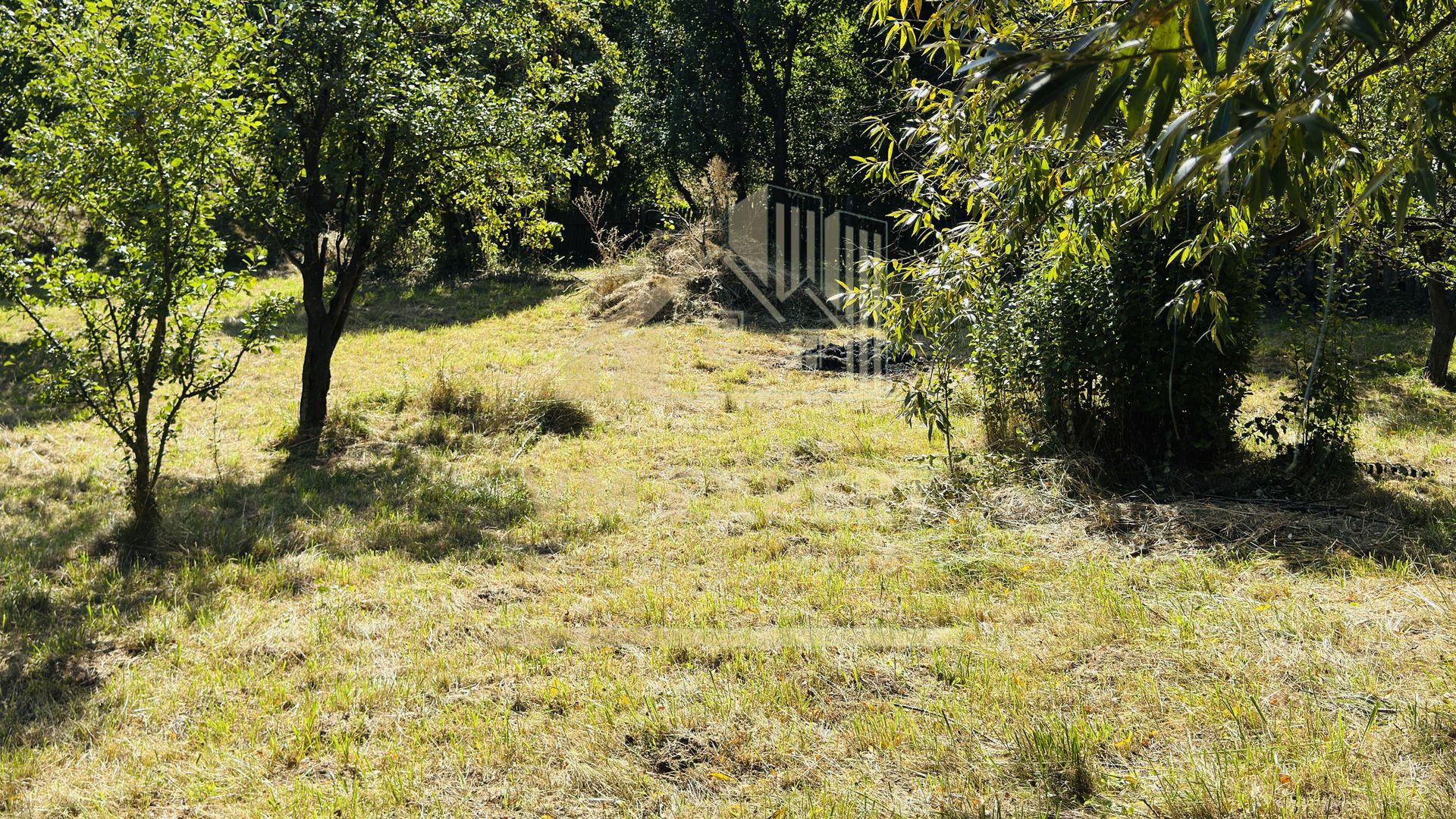 TEREN INTRAVILAN 3234 MP LEREȘTI VOINEȘTI ARGEȘ - Poză 15