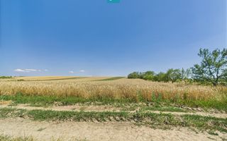 Teren intravilan + extravilan în Remetea Mică - Poză 7