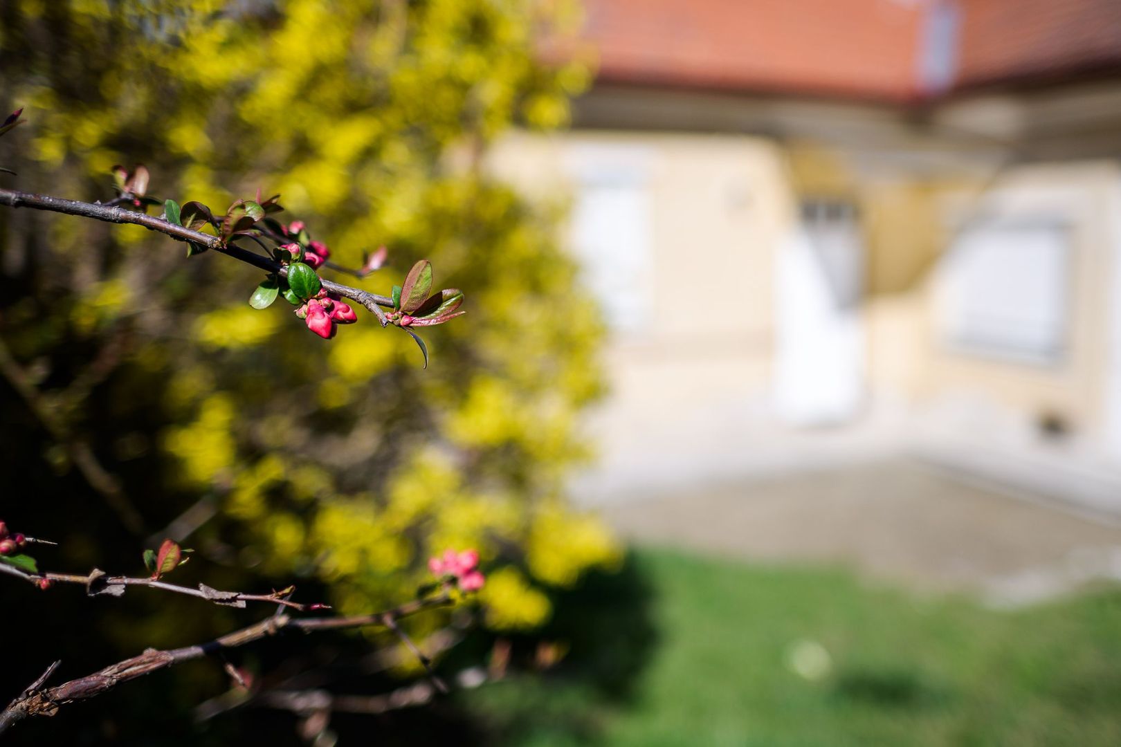 CASA GRUIA Zona BELVEDERE Teren 400MP - Poză 5