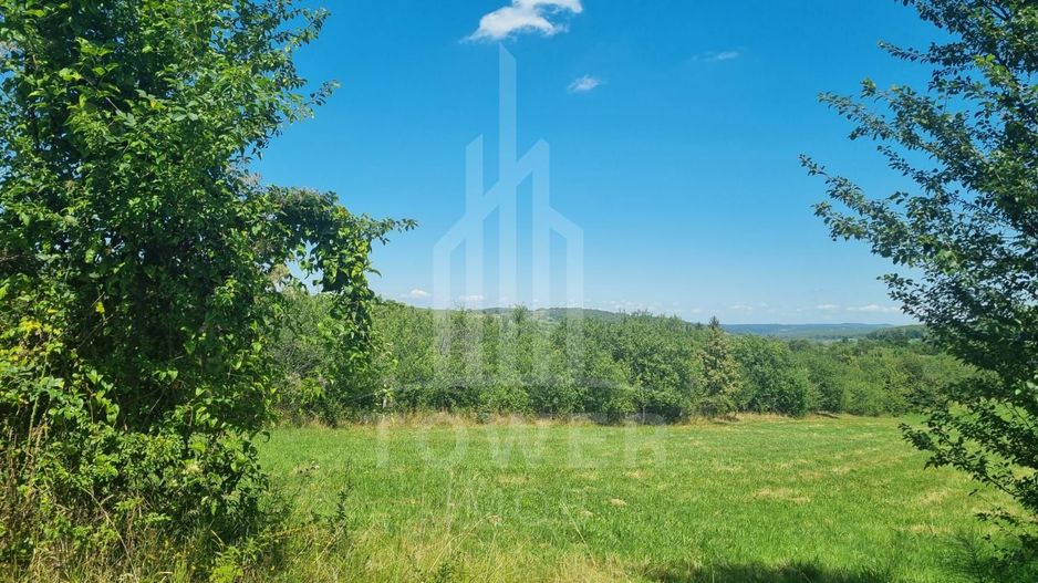 EXCLUSIVITATE! Teren la șoseaua principală | Tocile - Poză 2