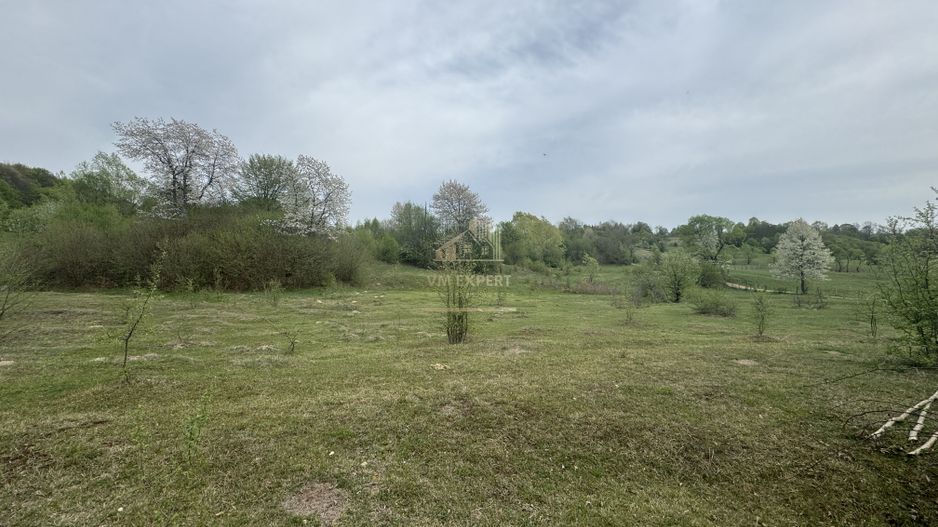 TEREN EXTRAVILAN 40000 MP, ALBESTI DE MUSCEL, CANDESTI - Poză 4