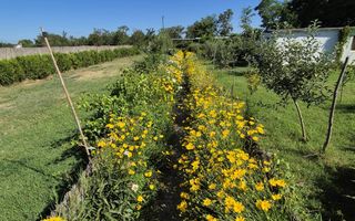 De vanzare complex turistic - Poză 20