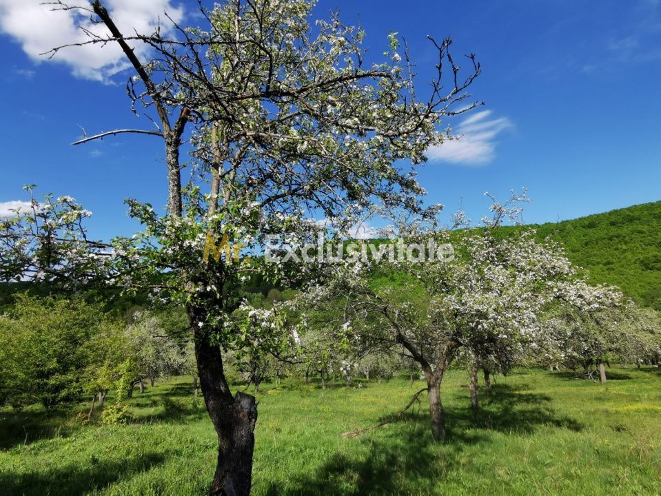 Teren 680mp Budeasa Mica, AG - Poză 8