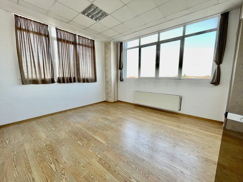 Spatiu pentru birou - Dumbrăvița - Poză 3