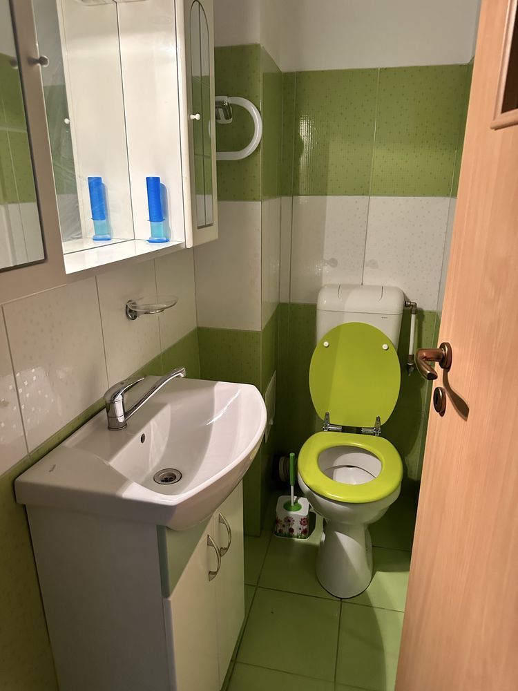 Apartament decomandat Lapus Electroputere Mall - Poză 6