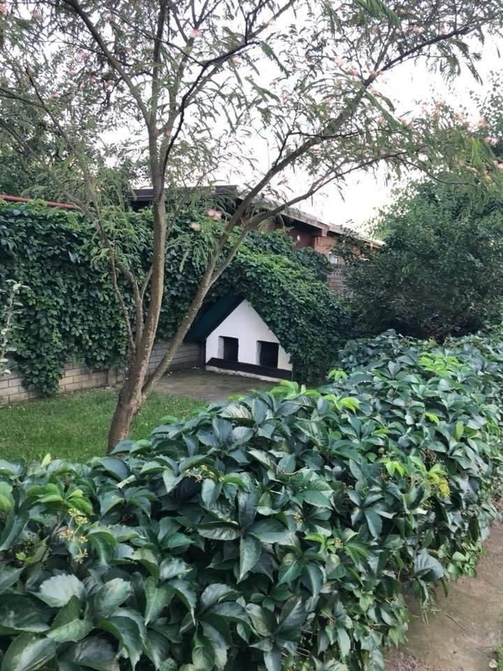 🏡 Casa individuala. Mobilata si utilata. Piscina exterioara.✨ - Poză 26
