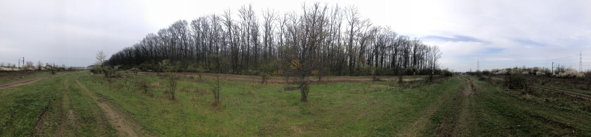 Teren de vânzare 10.028 mp – Mogoșoaia, lângă Pădurea Motoc - Poză 9