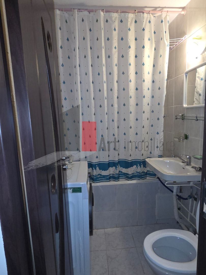 2 camere Drumul Taberei  - Raul Doamnei - Poză 6