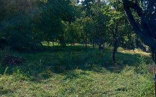 Casă 2 camere de vânzare | Francesti | 75 mp | teren 2000 mp - Poză 8