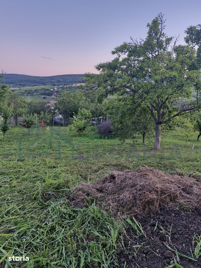 Teren intravilan de vanzare, Chicerea, 740 mp, strada Canarului, Tomesti - Poză 7